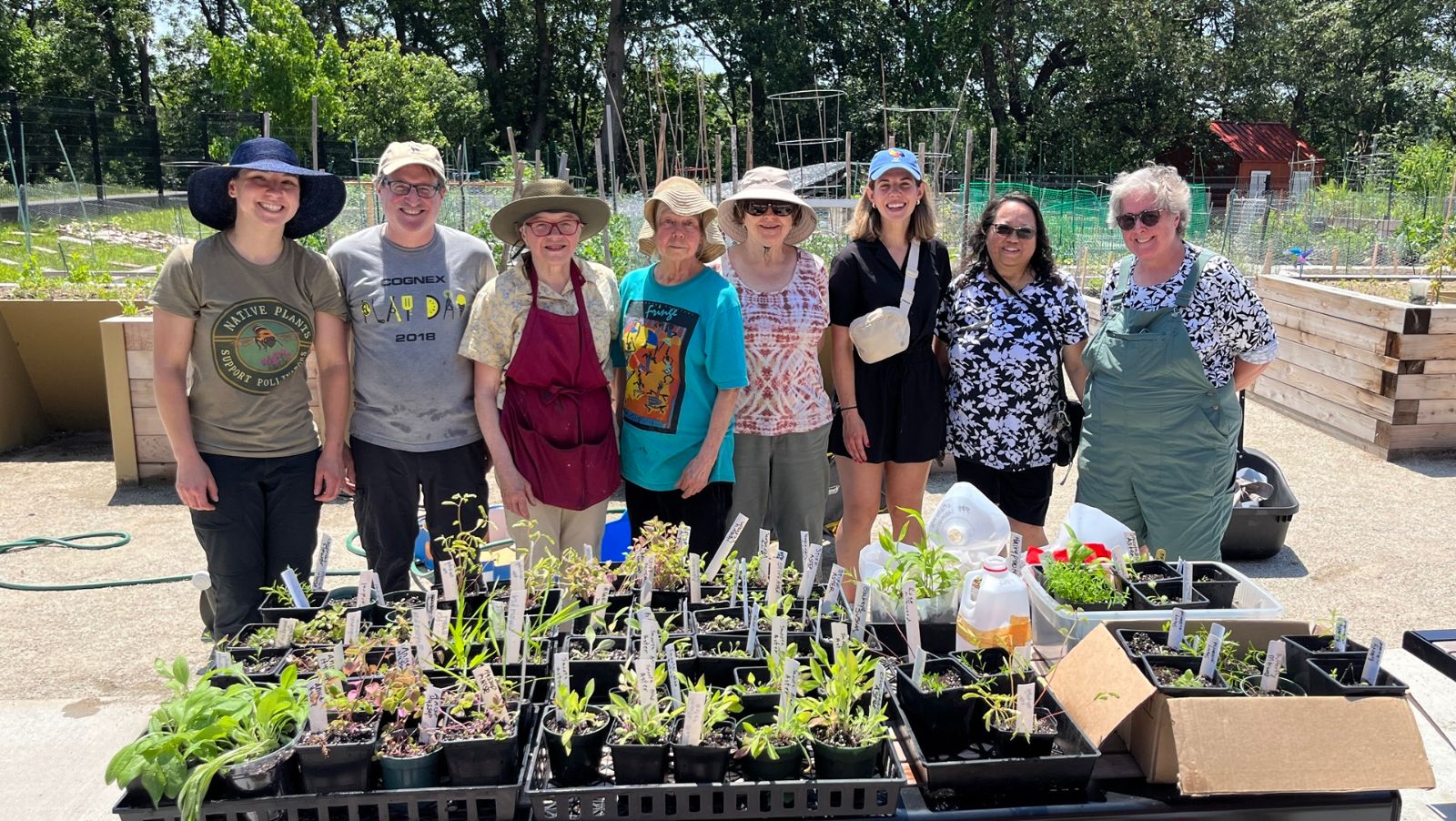 Plant swap at Arsenal Park Community Garden